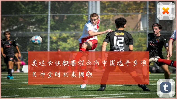 奥运会快艇赛程公布中国选手多项目冲金时刻表揭晓