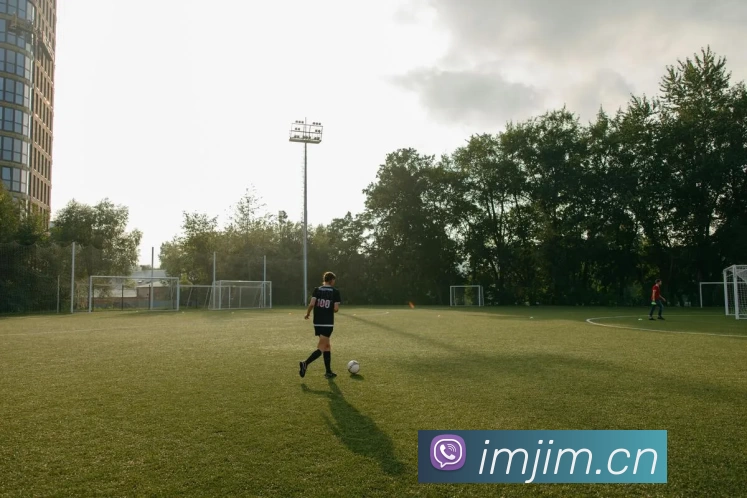 多媒体互动体验